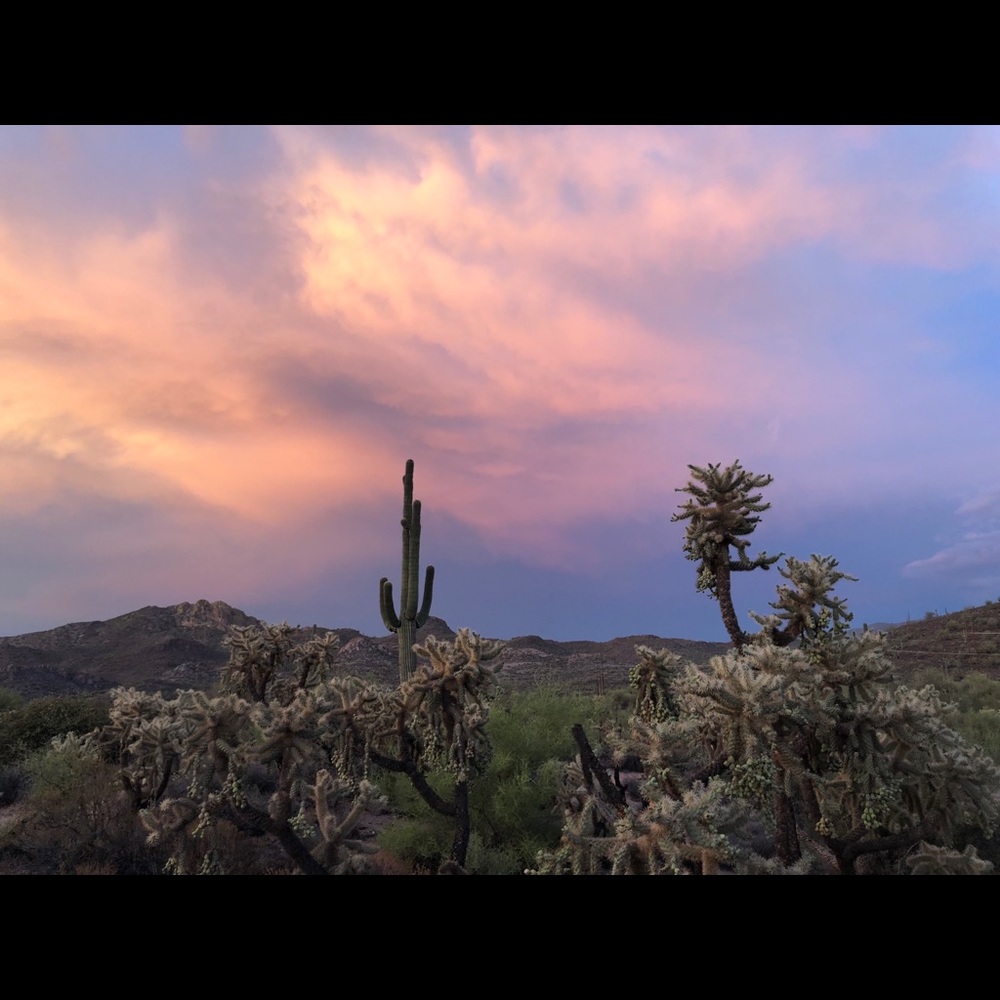 Meet your Posher, Skye